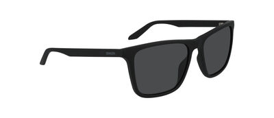 DR RENEW LL POLAR