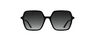 L6079S