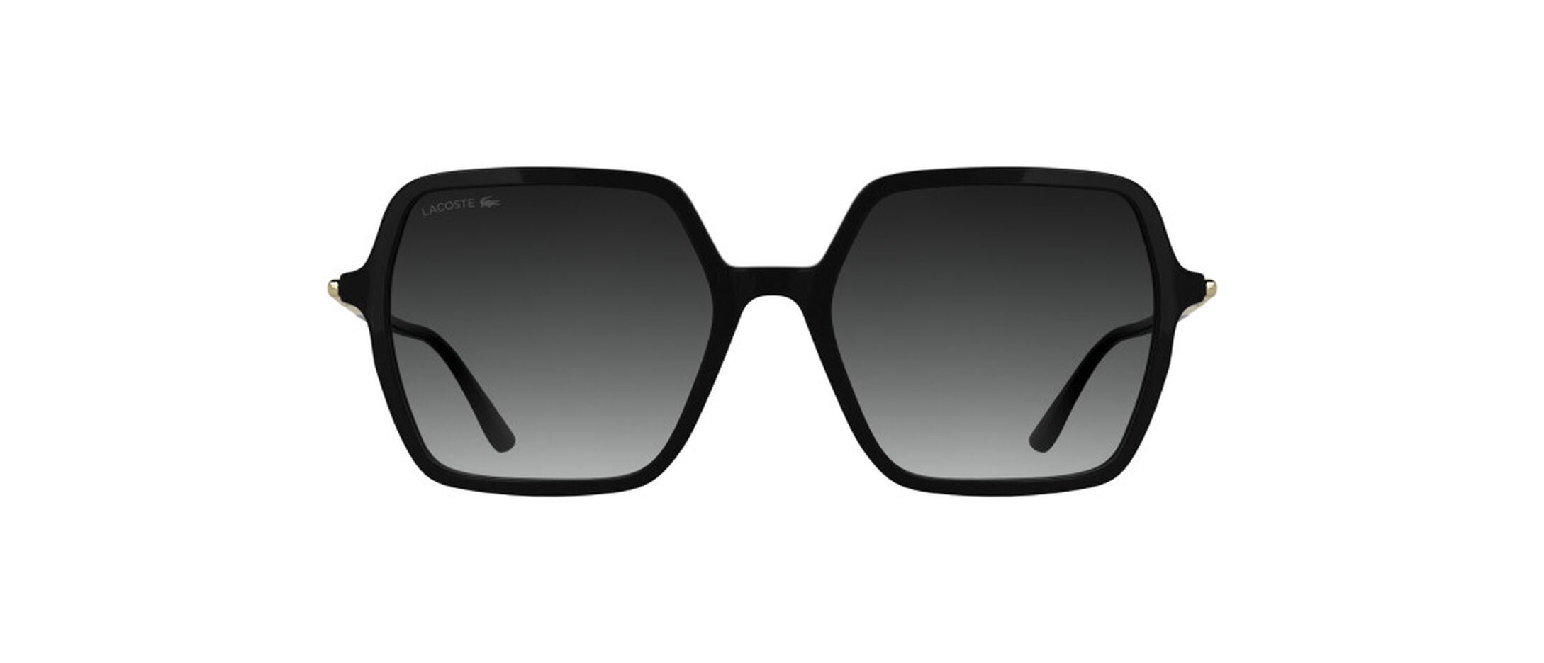 L6079S