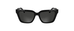 L6063S