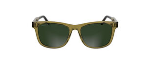 L6060S