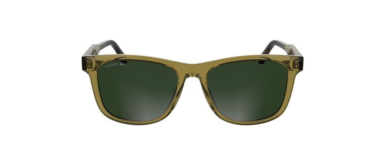 L6060S