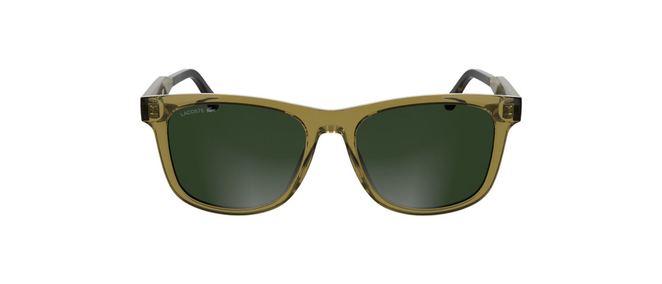 L6060S