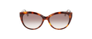 CK22520S