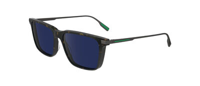 L6017S