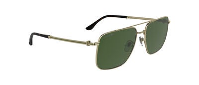 L272S