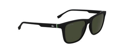 L6041S