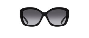Cole Haan Ch7006 Sunglasses Cat Eye Shape Eyeconic Com