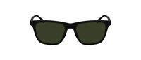 L6041S