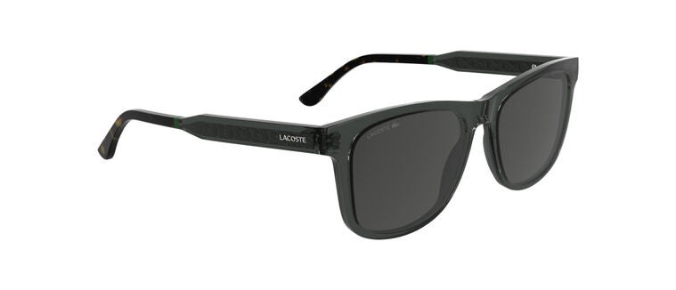 L6060S