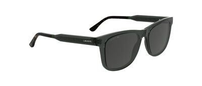 L6060S