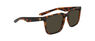 DR BAILE XL LL POLAR