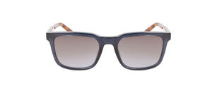 L954S