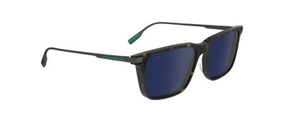 L6017S