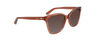 CK21529S