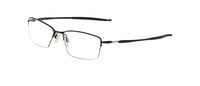 LIZARD OX5113