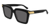 BV1005S
