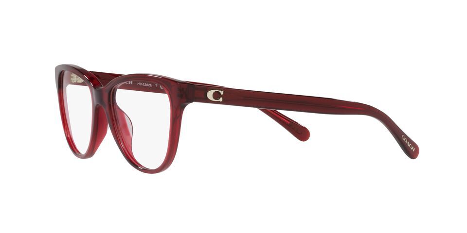 Coach HC6202U Glasses Free Shipping and Returns Eyeconic