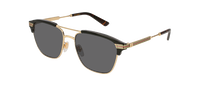 GG0241S
