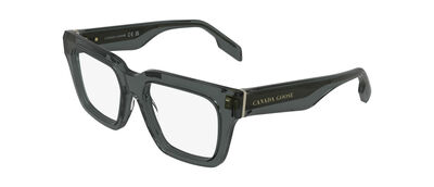 GC25613E