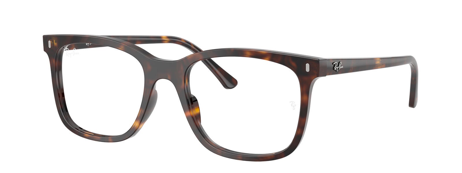 Ray-Ban RB5446 Glasses | Free Shipping and Returns | Eyeconic