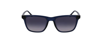 L6041S