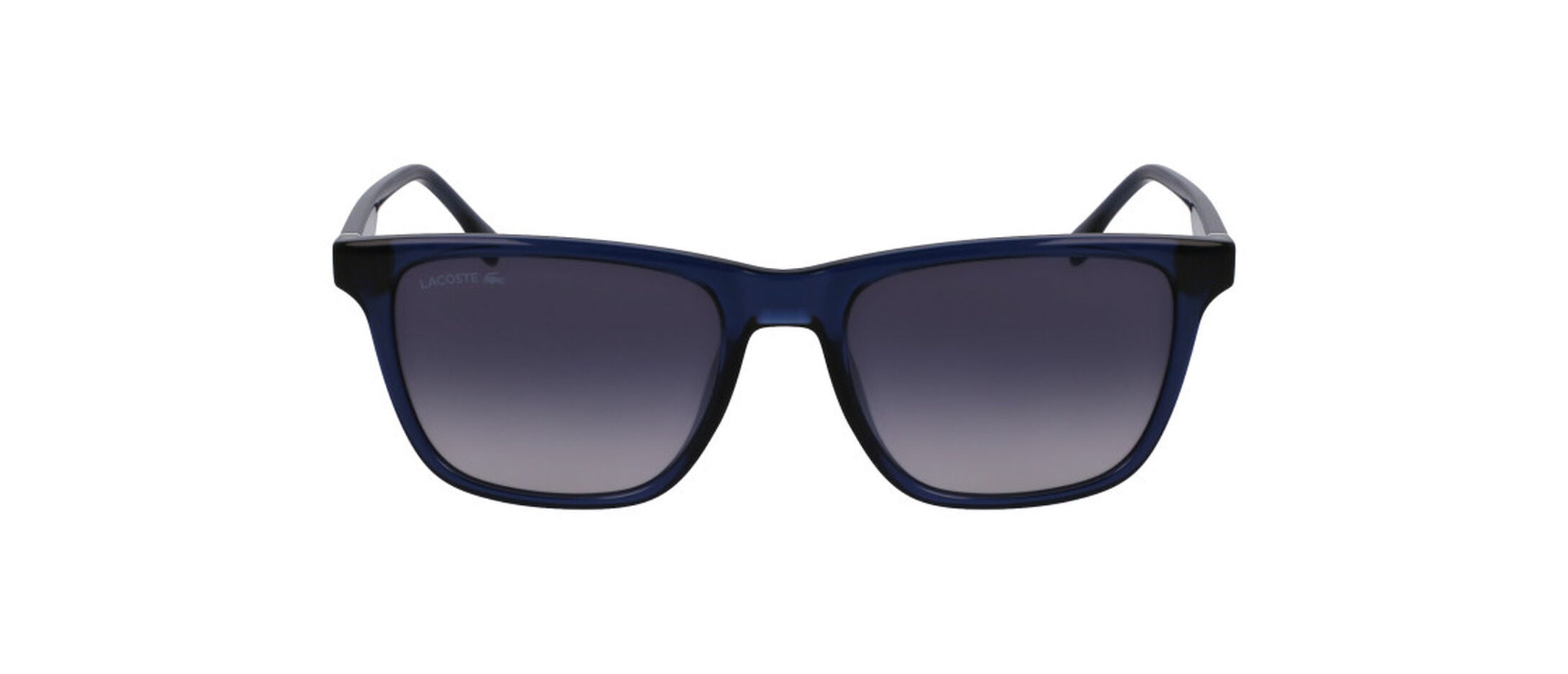 L6041S
