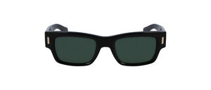 SF2011S