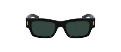 SF2011S