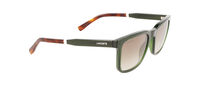 L954S