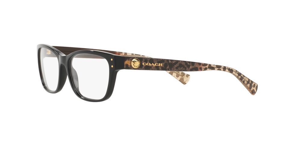 Coach HC6082 Glasses Free Shipping and Returns Eyeconic