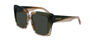 SF1060SN