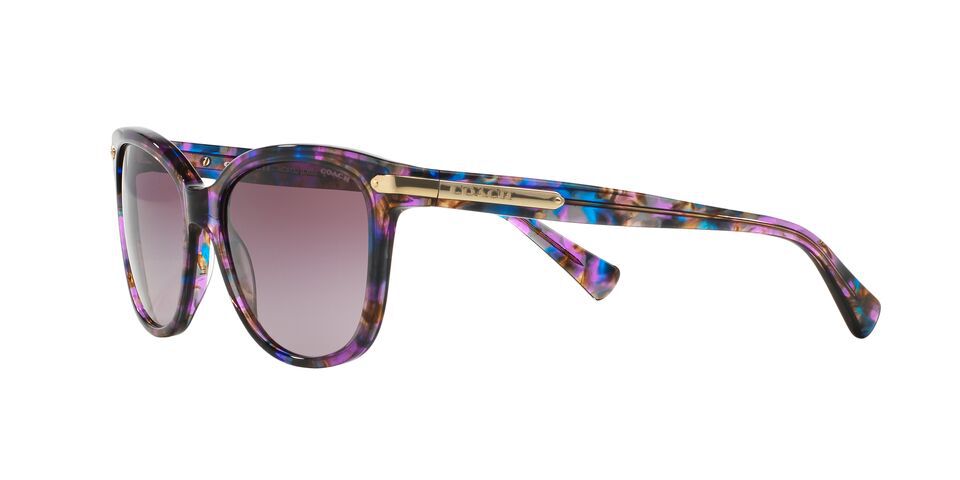 Coach 8132 sunglasses outlet