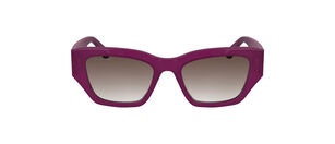 L6053S