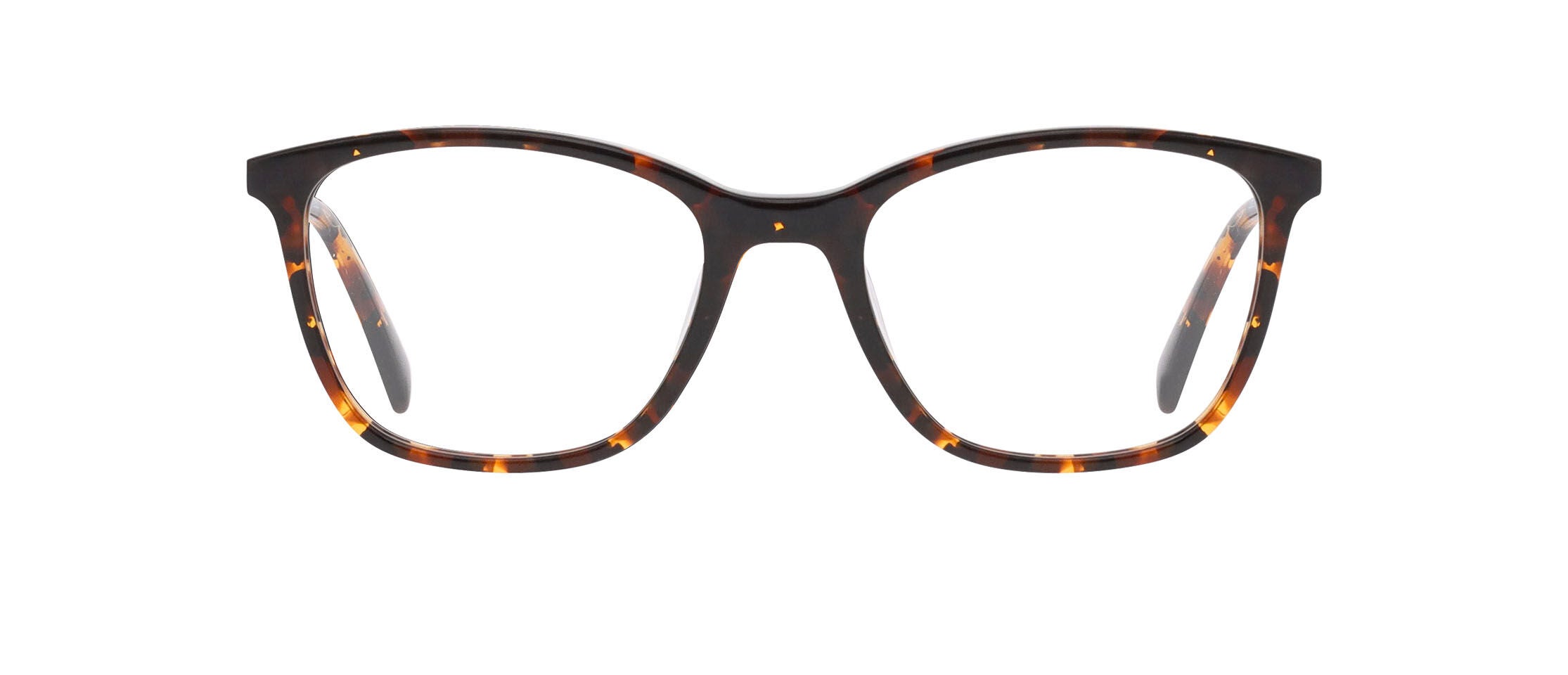 Longchamp Glasses Sunglasses Eyeconic