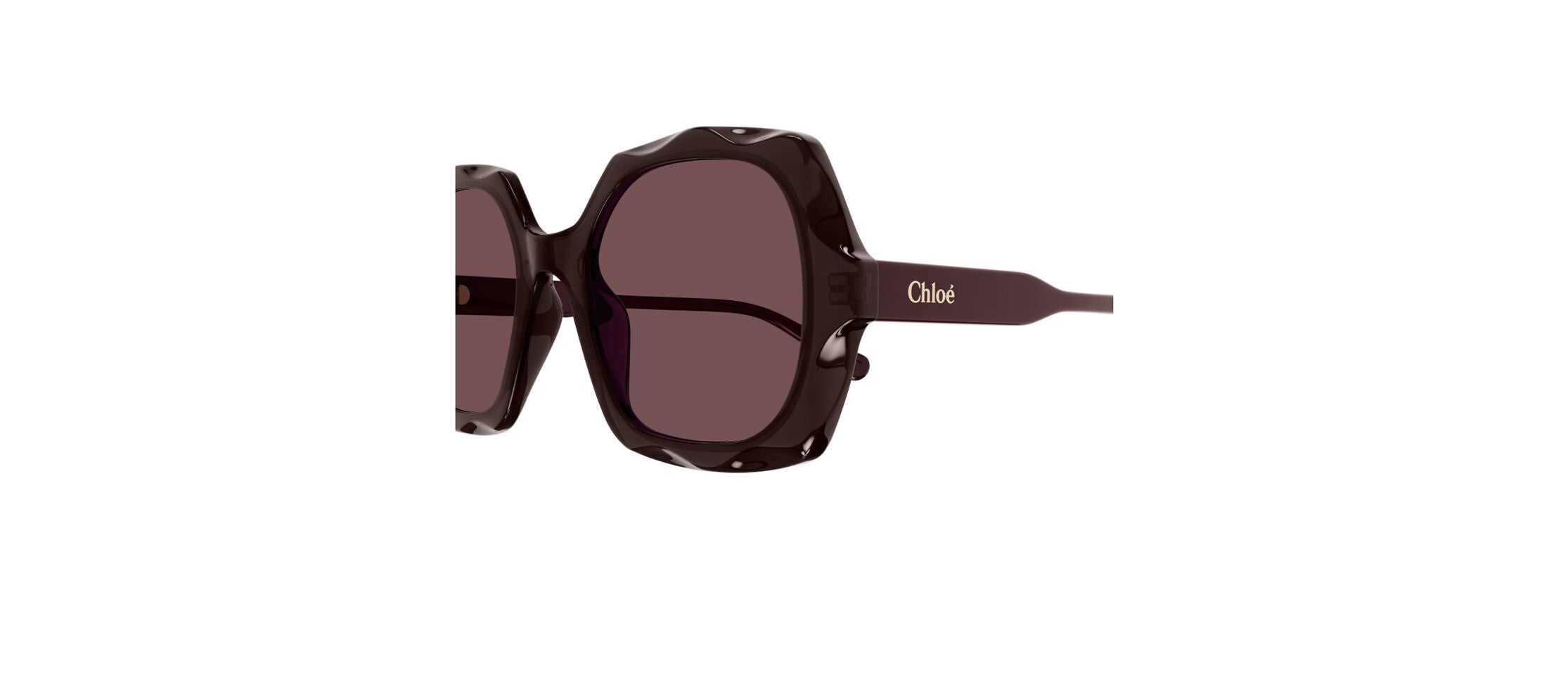 【送料&関税込】ChloAC Sunglasses Chloé CH0226S Sunglasses | Prescription and Non-RX Lenses