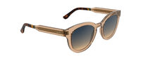 L6070S
