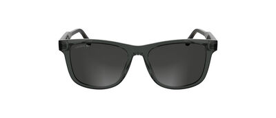 L6060S