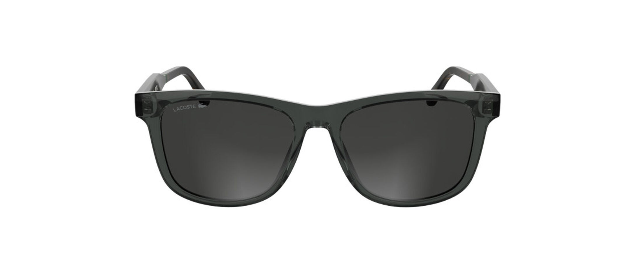 L6060S