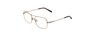 FLEXON H6060