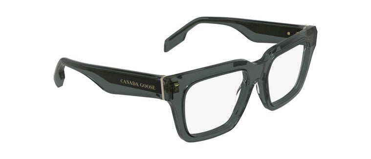GC25613E