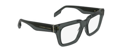 GC25613E