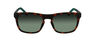 L956S