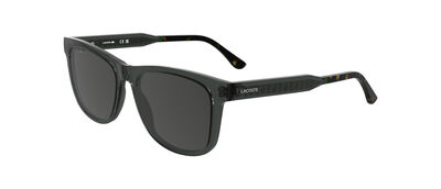 L6060S