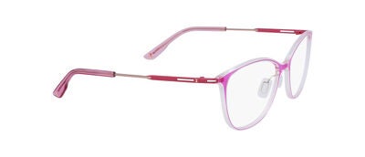 SK2881 FRAMSTEG