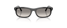 RB2224