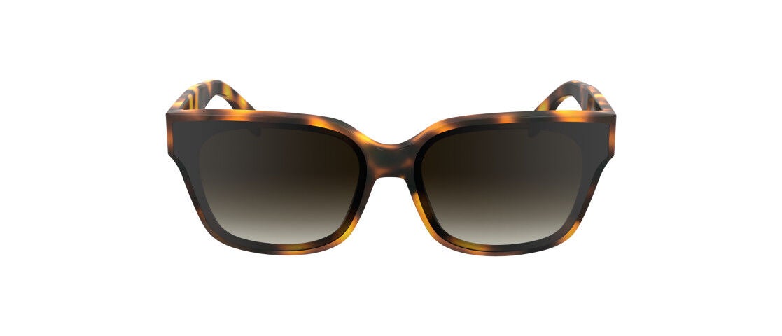 KARL LAGERFELD キャットアイフレムメカネ KL6078 705 586832_1643785758628.jpg