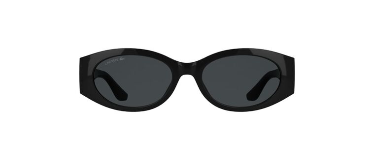 L6109S