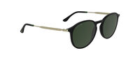L6061S