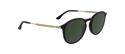 L6061S